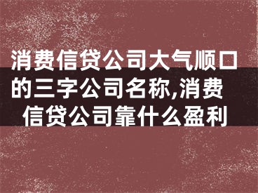 消费信贷公司大气顺口的三字公司名称,消费信贷公司靠什么盈利