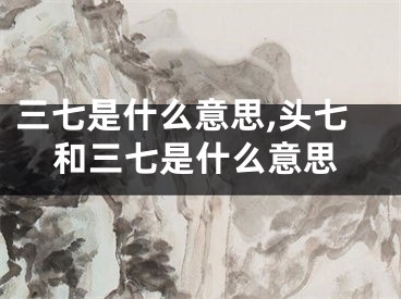 三七是什么意思,头七和三七是什么意思