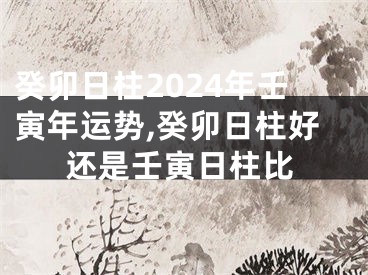 癸卯日柱2024年壬寅年运势,癸卯日柱好还是壬寅日柱比
