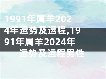 1991年属羊2024年运势及运程,1991年属羊2024年运势及运程男性
