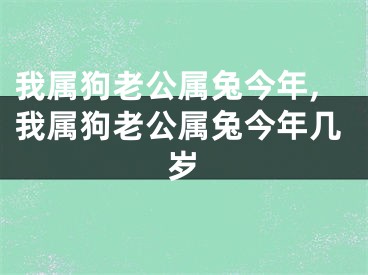 我属狗老公属兔今年,我属狗老公属兔今年几岁