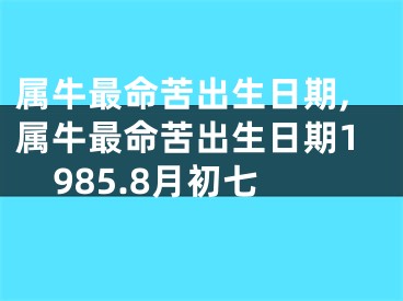 属牛最命苦出生日期,属牛最命苦出生日期1985.8月初七
