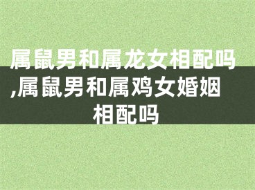 属鼠男和属龙女相配吗,属鼠男和属鸡女婚姻相配吗