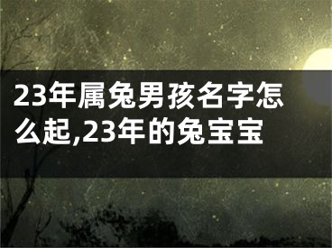 23年属兔男孩名字怎么起,23年的兔宝宝