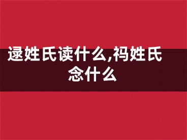 逯姓氏读什么,祃姓氏念什么