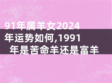 91年属羊女2024年运势如何,1991年是苦命羊还是富羊