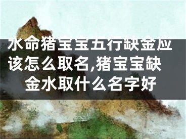 水命猪宝宝五行缺金应该怎么取名,猪宝宝缺金水取什么名字好