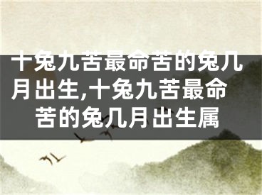 十兔九苦最命苦的兔几月出生,十兔九苦最命苦的兔几月出生属