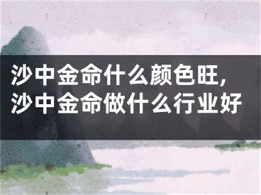 沙中金命什么颜色旺,沙中金命做什么行业好