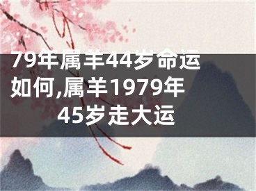 79年属羊44岁命运如何,属羊1979年45岁走大运