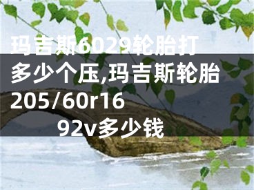 玛吉斯6029轮胎打多少个压,玛吉斯轮胎205/60r16 92v多少钱