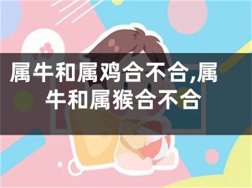 属牛和属鸡合不合,属牛和属猴合不合