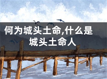 何为城头土命,什么是城头土命人