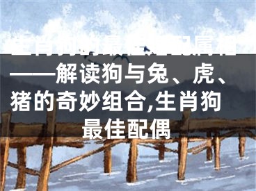 生肖狗的最佳婚配属相——解读狗与兔、虎、猪的奇妙组合,生肖狗最佳配偶