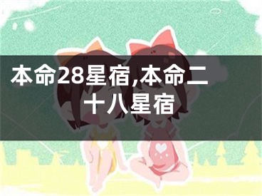 本命28星宿,本命二十八星宿