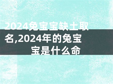 2024兔宝宝缺土取名,2024年的兔宝宝是什么命