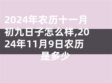 2024年农历十一月初九日子怎么样,2024年11月9日农历是多少