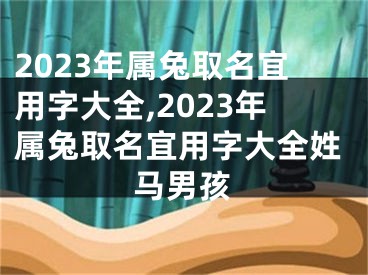 2023年属兔取名宜用字大全,2023年属兔取名宜用字大全姓马男孩