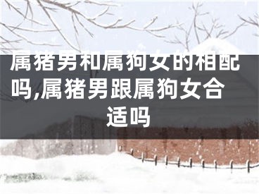 属猪男和属狗女的相配吗,属猪男跟属狗女合适吗