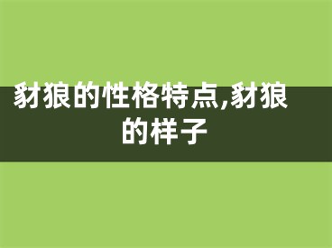 豺狼的性格特点,豺狼的样子