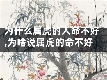 为什么属虎的人命不好,为啥说属虎的命不好