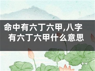 命中有六丁六甲,八字有六丁六甲什么意思