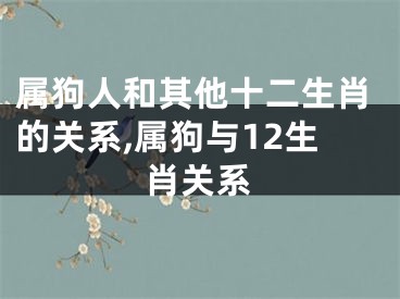 属狗人和其他十二生肖的关系,属狗与12生肖关系