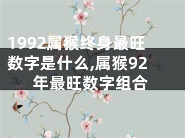 1992属猴终身最旺数字是什么,属猴92年最旺数字组合
