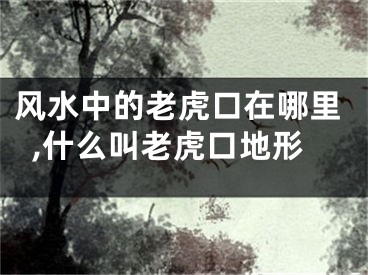 风水中的老虎口在哪里,什么叫老虎口地形