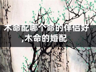 木命配哪个命的伴侣好,木命的婚配
