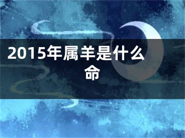 2015年属羊是什么命