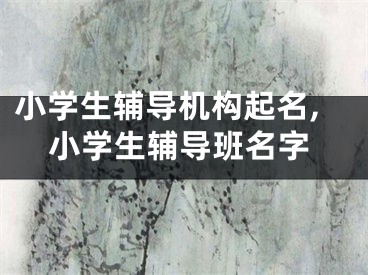 小学生辅导机构起名,小学生辅导班名字