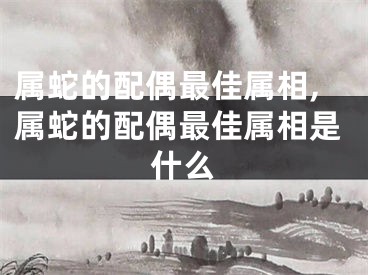属蛇的配偶最佳属相,属蛇的配偶最佳属相是什么