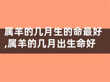 属羊的几月生的命最好,属羊的几月出生命好