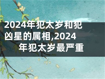 2024年犯太岁和犯凶星的属相,2024年犯太岁最严重