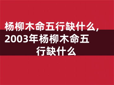 杨柳木命五行缺什么,2003年杨柳木命五行缺什么