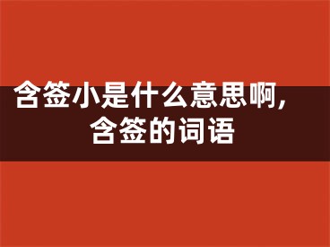 含签小是什么意思啊,含签的词语