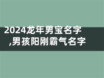 2024龙年男宝名字,男孩阳刚霸气名字