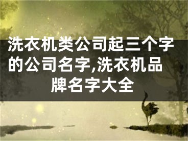 洗衣机类公司起三个字的公司名字,洗衣机品牌名字大全