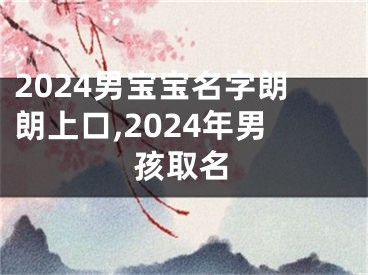 2024男宝宝名字朗朗上口,2024年男孩取名