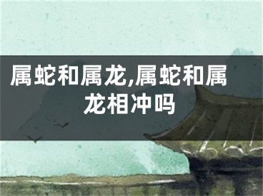 属蛇和属龙,属蛇和属龙相冲吗