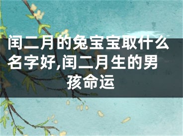 闰二月的兔宝宝取什么名字好,闰二月生的男孩命运