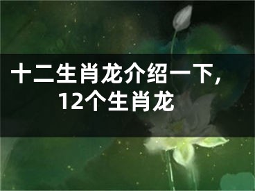 十二生肖龙介绍一下,12个生肖龙