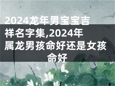 2024龙年男宝宝吉祥名字集,2024年属龙男孩命好还是女孩命好