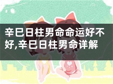辛巳日柱男命命运好不好,辛巳日柱男命详解