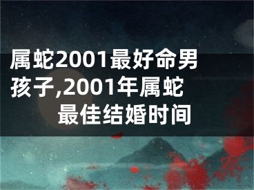 属蛇2001最好命男孩子,2001年属蛇最佳结婚时间