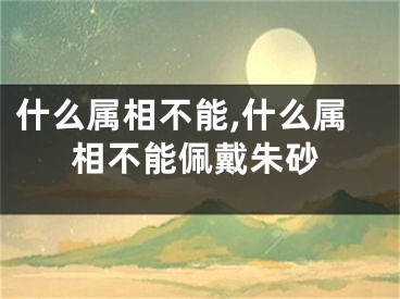 什么属相不能,什么属相不能佩戴朱砂