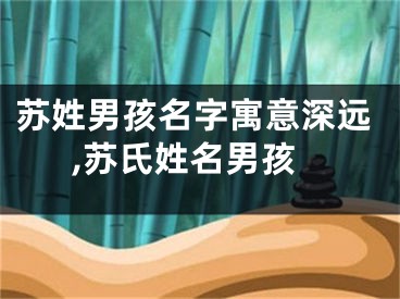 苏姓男孩名字寓意深远,苏氏姓名男孩