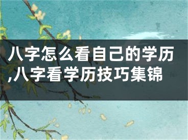 八字怎么看自己的学历,八字看学历技巧集锦