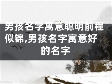 男孩名字寓意聪明前程似锦,男孩名字寓意好的名字